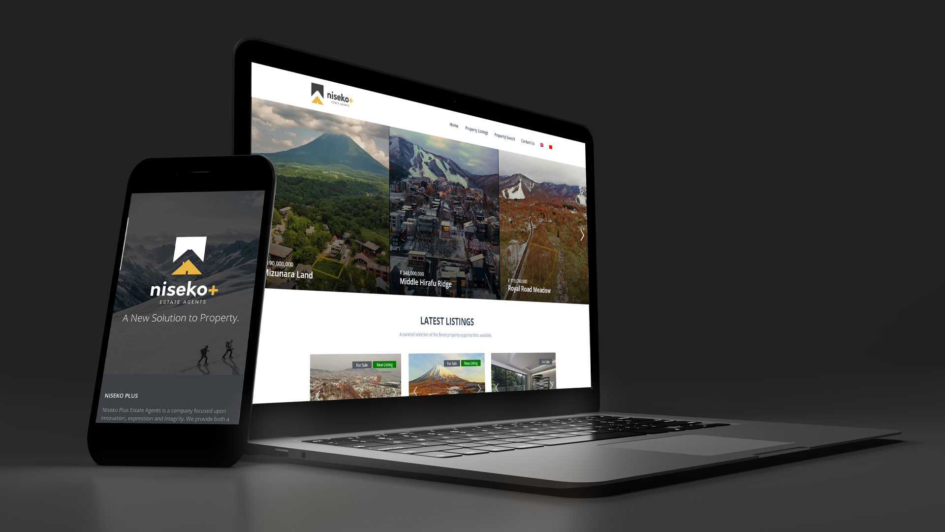 The website for Niseko+ Estate agents shows the application of good branding to the front page